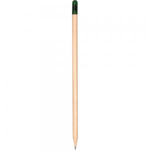 Tohumlu Kurşun Kalem